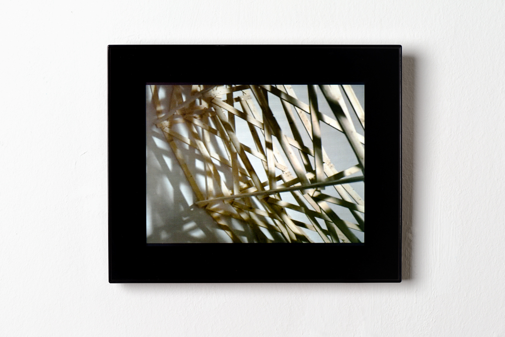 foto: manfred bogner, berlin